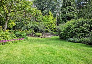 Optimiser l'expérience du jardin à Bourguignon-les-Morey